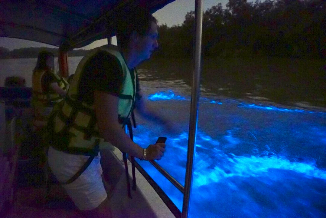 Kuala Selangor Fireflies and Blue Tears Tour with Dinner Review
